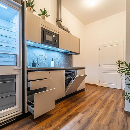 Design Apartments Luzanky 布尔诺 外观 照片