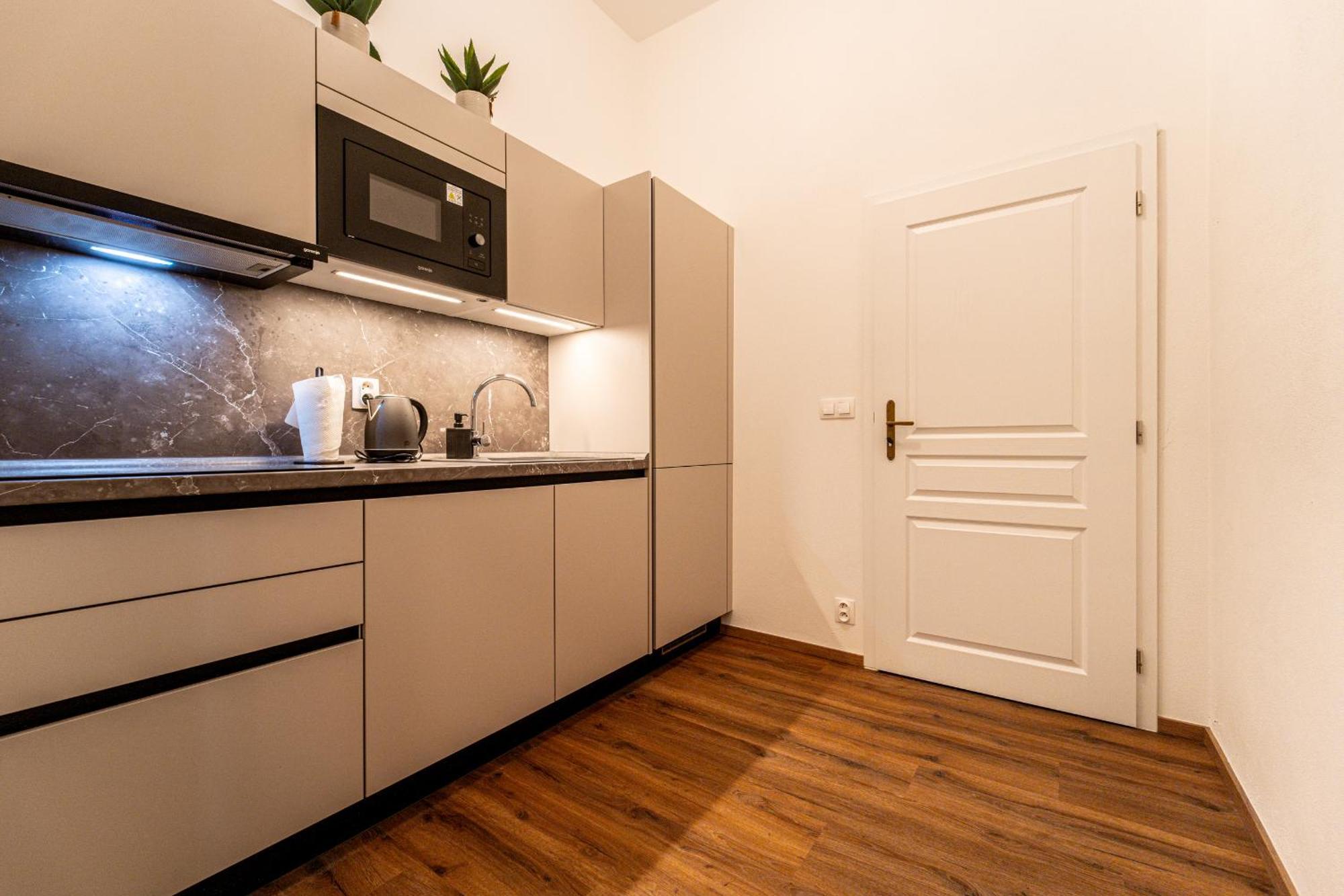 Design Apartments Luzanky 布尔诺 外观 照片
