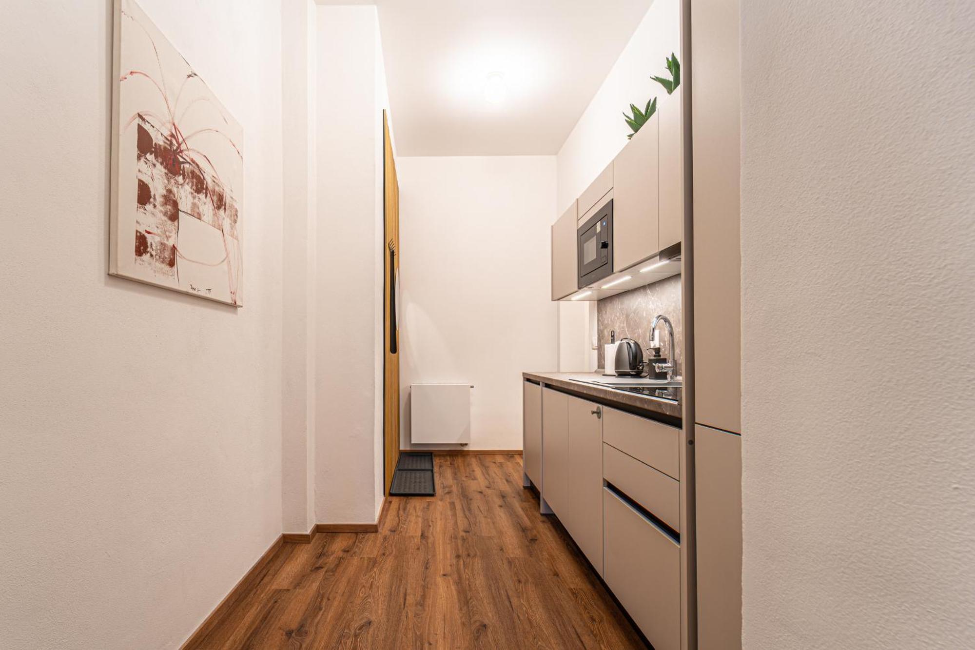 Design Apartments Luzanky 布尔诺 外观 照片