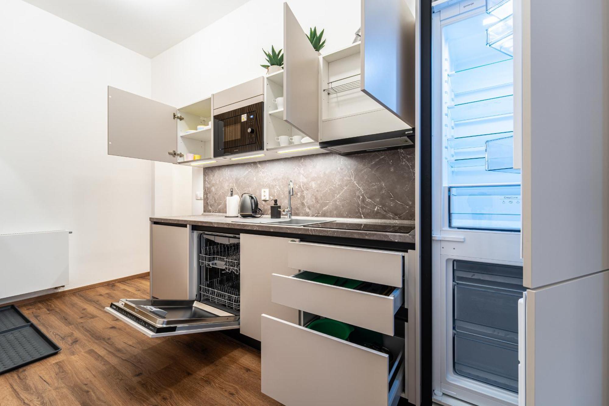 Design Apartments Luzanky 布尔诺 外观 照片